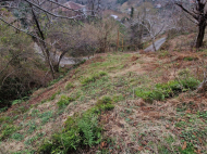 Продается земельный участок в пригороде Батуми, Грузия. Фото 2