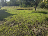 House for sale with a plot of land in the suburbs of Meria, Georgia. Near the river. Photo 11