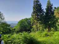 Land parcel, Ground area for sale in Sakhalvasho, Georgia. The project has a construction permit. Photo 3