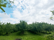 House for sale with a plot of land in the suburbs of Ozurgeti, Georgia. Near the river. Photo 4