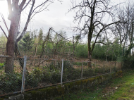 House for sale with a plot of land in the suburbs of Lanchkhuti, Georgia. Tangerine garden, Orchard. Walnut garden. Near the river. Photo 6