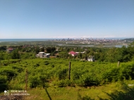 Продаётся земельный участок в Ахалсопели. Батуми, Грузия. Вид на море. Фото 2