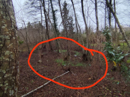 Продается частный дом с земельным участком в Шрома, Грузия. Фото 20