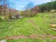 Land parcel, Ground area for sale in the suburbs of Gori, Georgia. Near the river. Photo 4