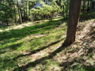 House for sale in a resort district of Borjomi, Georgia. Photo 11