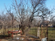 a private house with a land plot for sale 30 kilometers from Tbilisi Photo 4