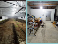 An existing agricultural complex for sale. Greenhouse. Photo 6