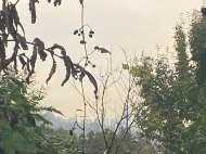 Land parcel, Ground area for sale in the suburbs of Batumi, Georgia. Photo 3