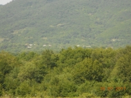 Ground area ( A plot of land ) for sale on the river bank. Kakheti, Georgia. Photo 6
