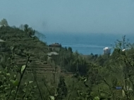 Продается частный дом с земельным участком в Махинджаури, Грузия. Вид на море. Фото 12