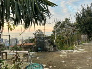 Private house for sale with land plot in Gonio, Georgia. Profitably for business. Photo 2