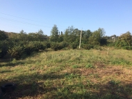 Land for sale in Chakvi, Georgia Photo 3