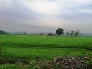 Продается земельный участок с фермой в пригороде Зестафони, Грузия. Действующий бизнес. Фото 3