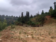 Ground area ( A plot of land ) for sale at the seaside of Tsikhisdziri, Adjara, Georgia. With view of the sea Photo 11