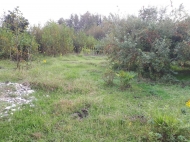 Продается земельный участок в Абаше, Самегрело, Грузия. Фото 6