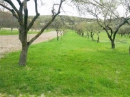 Ground area for sale in a resort district of Mtskheta, Georgia. Land parcel for sale in a picturesque place.  Photo 2