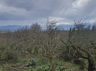 Купить дом с земельным участком в пригороде Кутаиси, Грузия. У реки. Фото 11