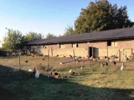 Земельный участок с животноводческой фермой в Кахетии, Грузия. Фото 2
