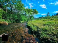 Земельный участок в Чакви. Выгодно для инвестиций в Чакви. У реки. Фото 4