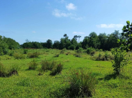Land parcel, Ground area for sale at the seaside of Ureki, Georgia. Photo 4