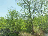House for sale with a plot of land in the suburbs of Ozurgeti, Georgia. Orchard. Near the river. Photo 11