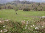 Земельный участок в курортной зоне Цхалтубо, Грузия. Фото 3