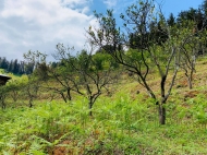 Продается земельный участок с прекрасным видом на горы в Тхилнари, Аджария, Грузия. Фото 13