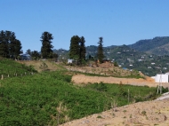 Land parcel for sale in Chakvi. Ground area on a busy highway in Chakvi, Georgia. Photo 2