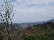 Ground area ( A plot of land ) for sale in Batumi, Georgia. Land with sea and mountains view. Photo 4