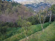 Land parcel, Ground area for sale in the suburbs of Batumi. Sameba. Land with sea view. Photo 3