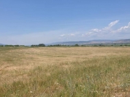 Land parcel for sale in the suburbs of Tbilisi, Tserovani. Photo 2