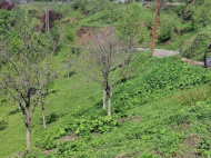 Land parcel, Ground area for sale in the suburbs of Batumi, Urehi. Photo 3