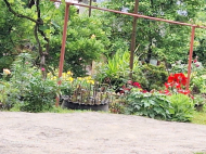 Купить частный дом с земельным участком в пригороде Озургети, Грузия. У реки. Фото 4