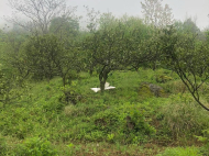 Land parcel, Ground area for sale in the suburbs of Batumi, Georgia. Photo 6