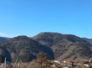 Wooden cottage for sale in the resort area of Borjomi, Georgia. Photo 8