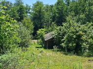 Купить дом с земельным участком в пригороде Сенаки, Грузия. Фото 4