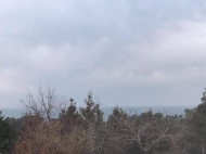 Продается земельный участок у моря. Букнари, Грузия. Участок с видом на море. Фото 2