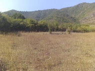 Земельный участок в курортной зоне Боржоми, Грузия. Фото 2