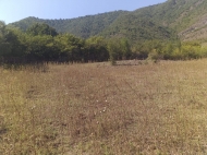 Land parcel, Ground area for sale in a resort district of Borjomi, Georgia. Photo 5