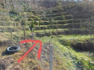 Land parcel, Ground area for sale in the suburbs of Batumi, Georgia. Photo 5