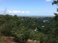 in the vicinity of Kobuleti on top of the mountain for sale. Photo 19