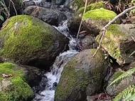 House for sale with a plot of land in Bobokvati, Georgia. Natural spring. Near the river. Sea view. Photo 2
