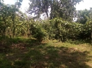 House for sale with a plot of land in Ozurgeti, Georgia. Photo 5