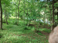 მიწის ნაკვეთი კურორტულ ზონაში ქობულეთში, საქართველო. იყიდება მიწა ისტორიულ და საკურორტო ზონაში. მდინარესთან. ფოტო 4