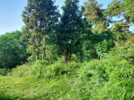 Land parcel, Ground area for sale in Sakhalvasho, Georgia. The project has a construction permit. Photo 6