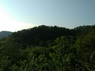 Дачный участок с видом на море в Хелвачаури. Земельный участок для дачи в Хелвачаури, Грузия. Фото 4