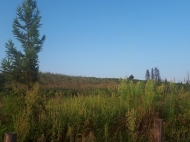 Land for sale 10 hectares. Photo 3