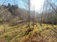 Land parcel, Ground area for sale in the suburbs of Batumi. Akhalsheni. Photo 4