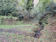 ვიყიდი კერძო სახლს საკურორტო რაიონში ჩაქვში, ჩაისუბანი. ფოტო 10