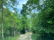 Купить частный дом в курортном районе Чакви, Грузия. Фото 21